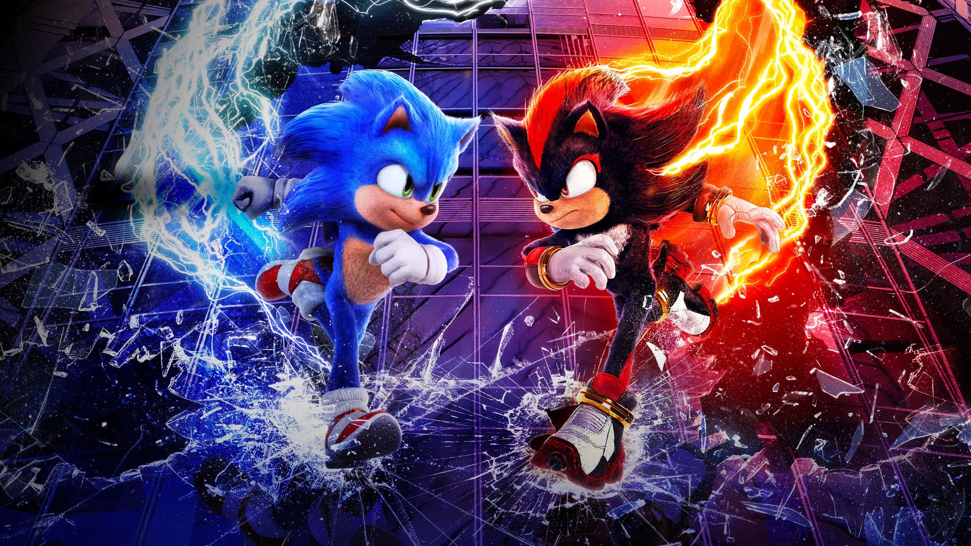 Nhím Sonic 3